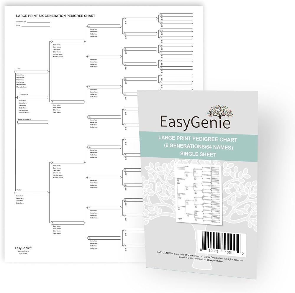 Amazon LARGE PRINT Blank Pedigree Chart 6 Generations 64 Names For Ancestry Single Sheet Archival Quality Genealogy Forms Arts Crafts U0026 Sewing