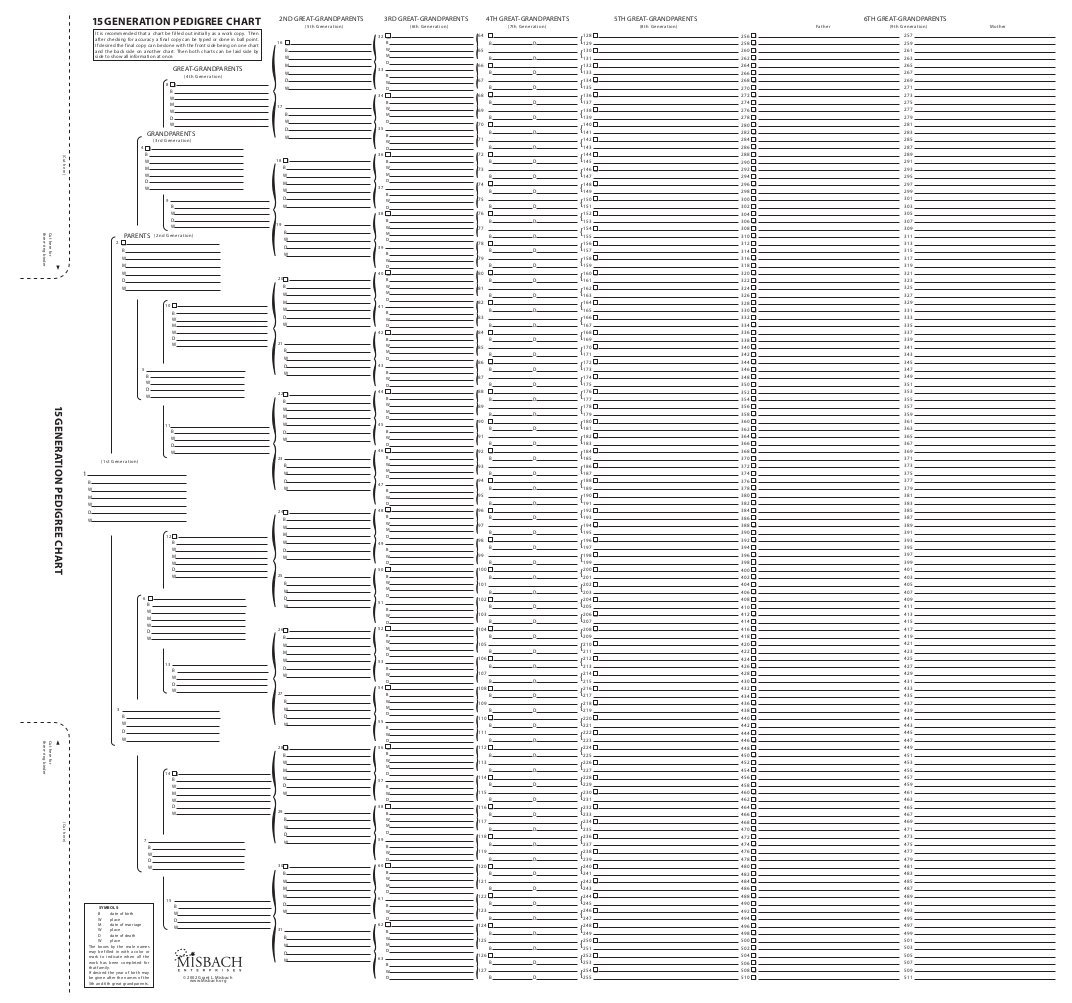 Amazon TreeSeek 15 Generation Pedigree Chart Blank Genealogy Forms For Family History And Ancestry Work Office Products