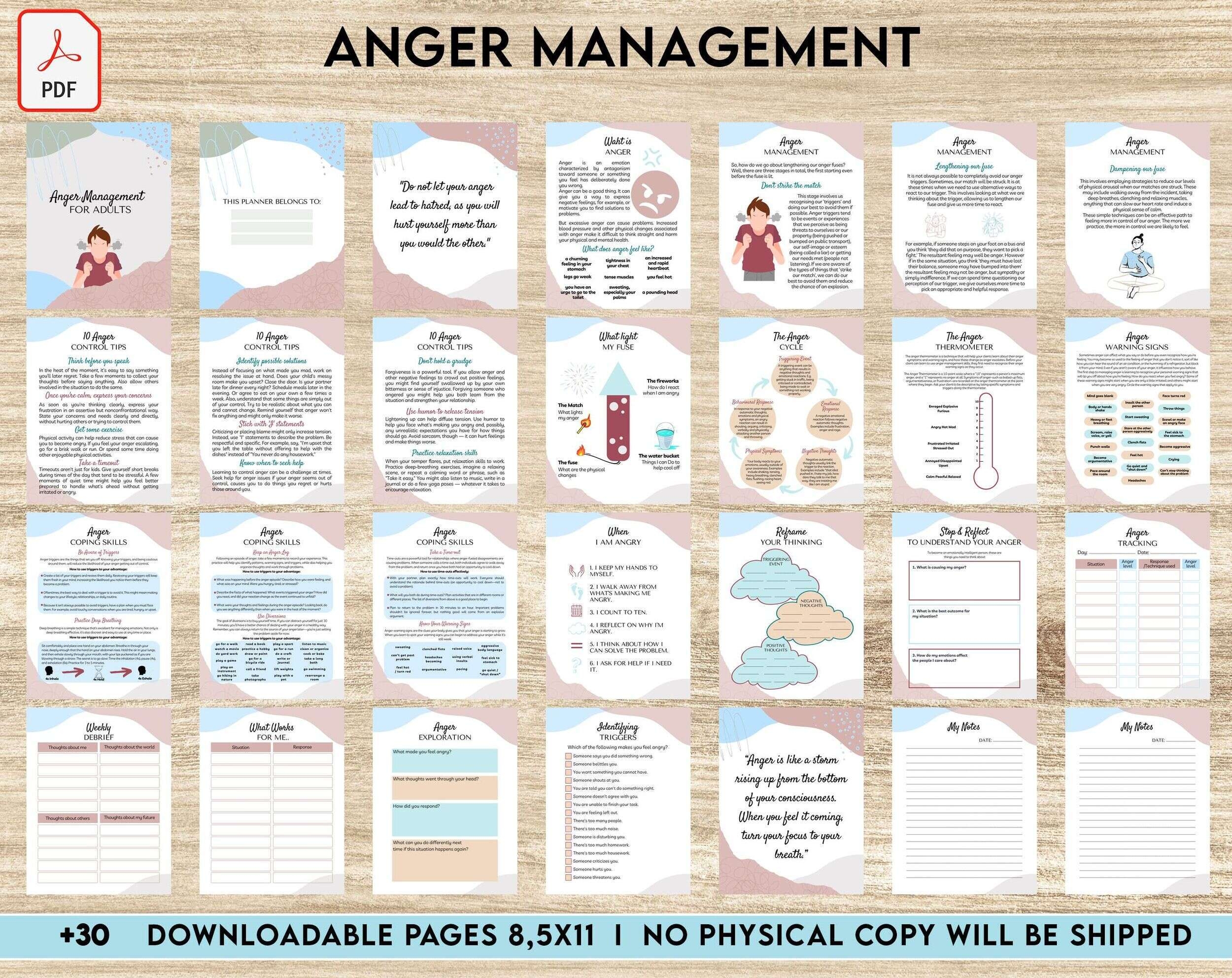 Anger Management For Adults Therapy Journal Mental Health Self Care Journal Digital Download PDF File 8 5x11 Inch