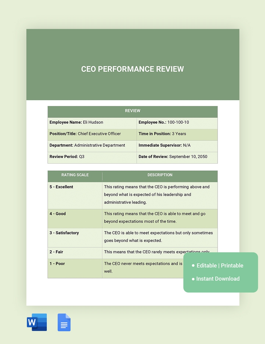 CEO Performance Review Template In Word Google Docs Download Template 