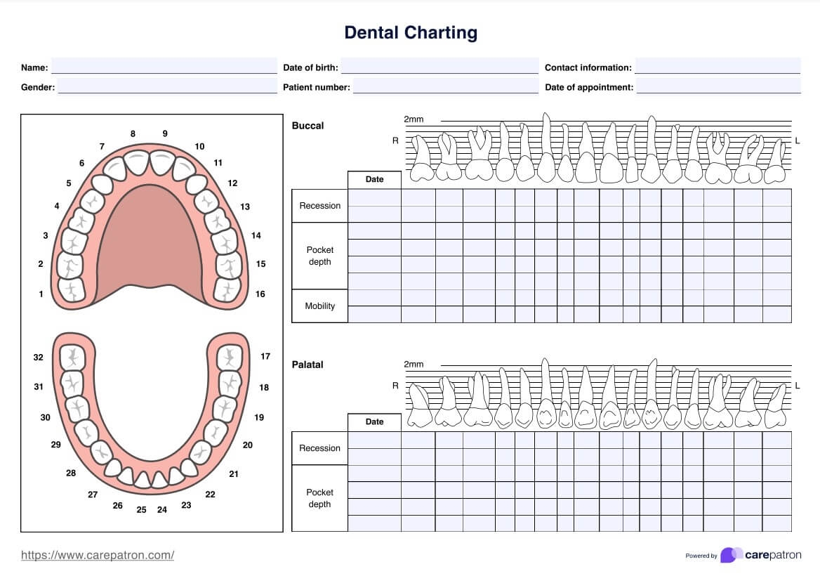 Dental Charting Template U0026 Example Free PDF Download
