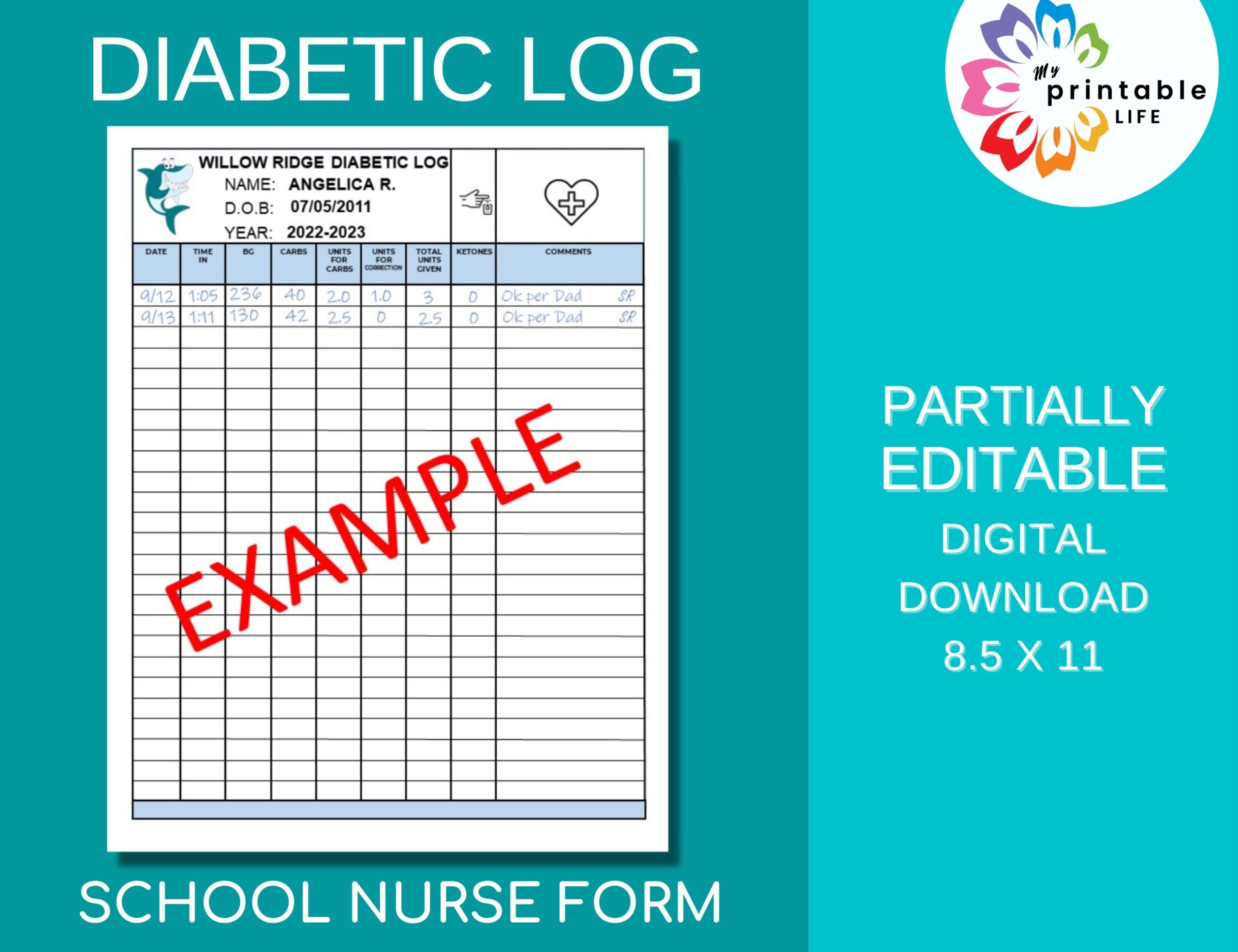 DIABETIC LOG For Health Office School Nurse Form Etsy