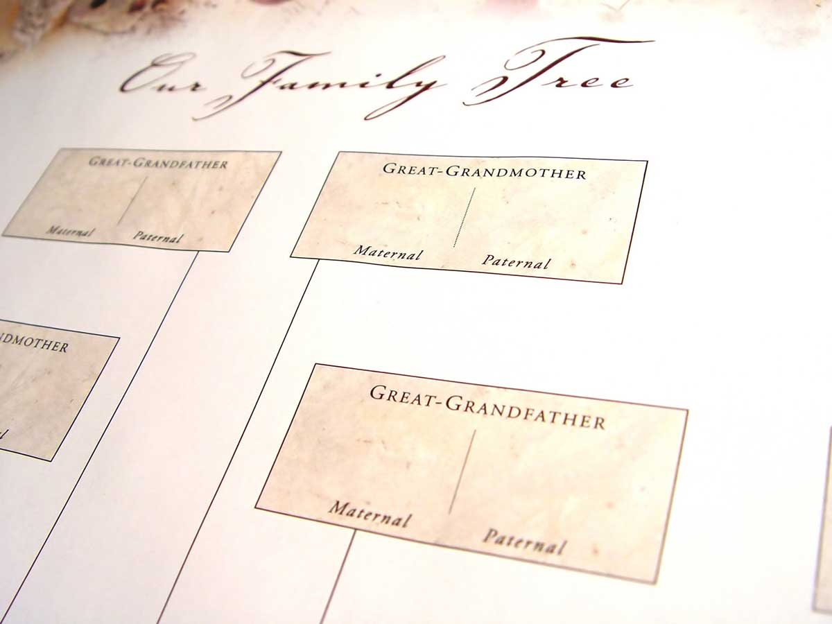 Free Printable Genealogy Forms Individual Worksheet Pdf