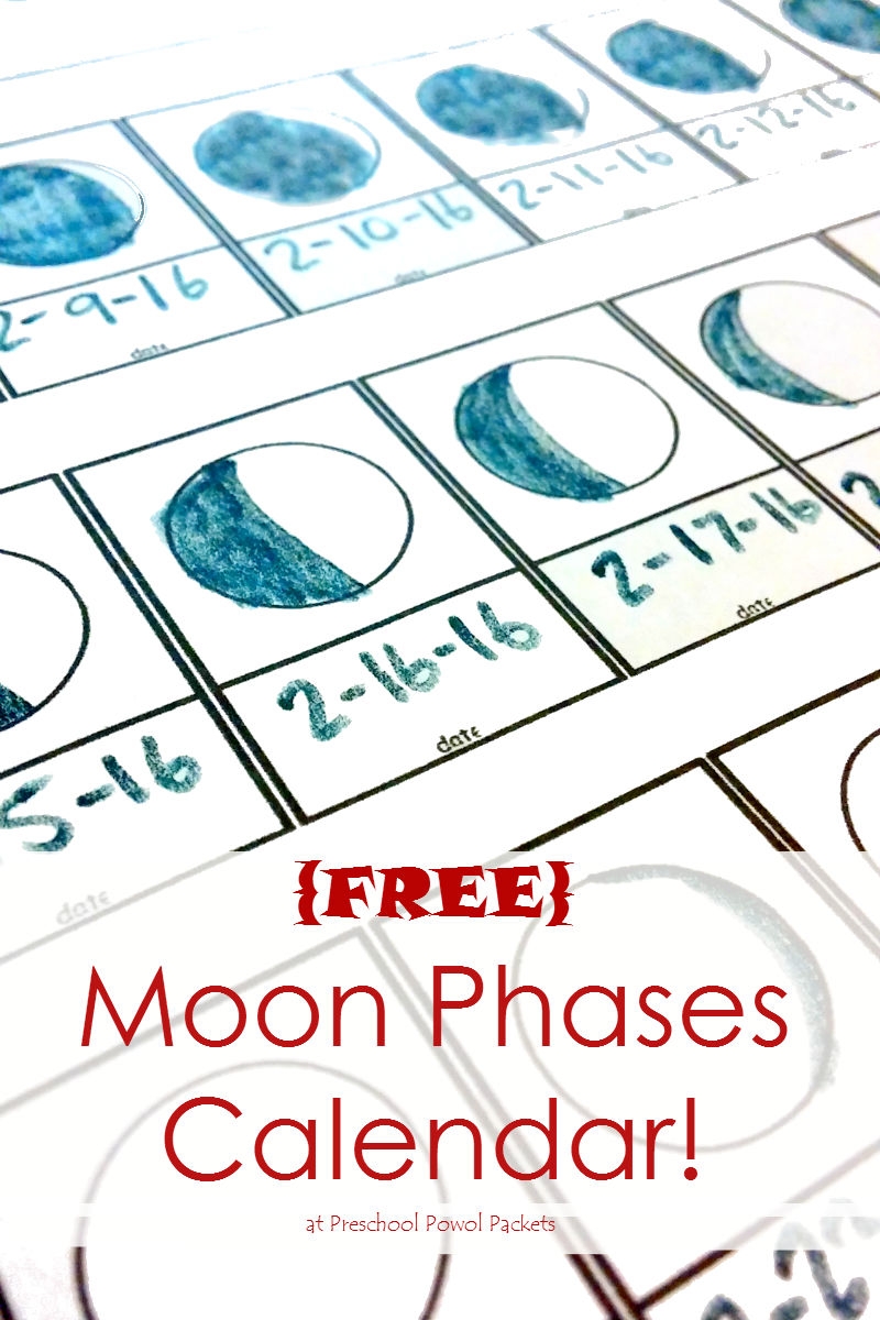 Free Printable 9w Forms
