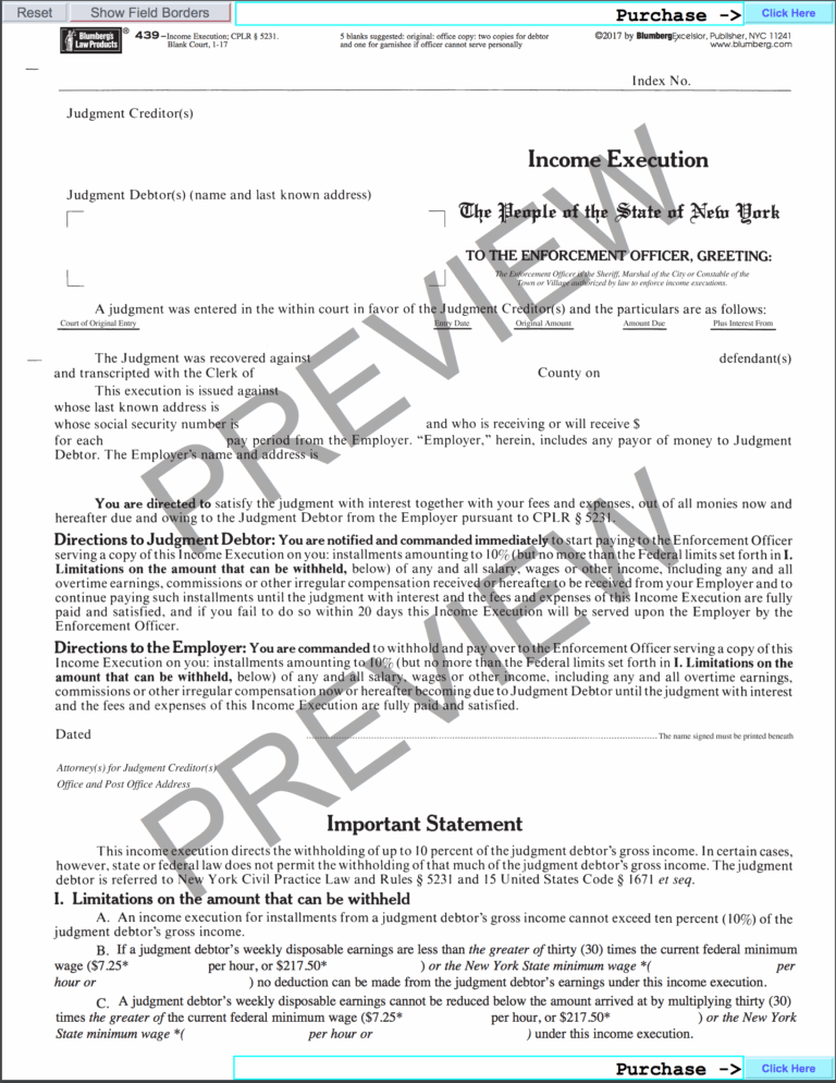 New York Enforcement of Judgements Blumberg Form 439 Income