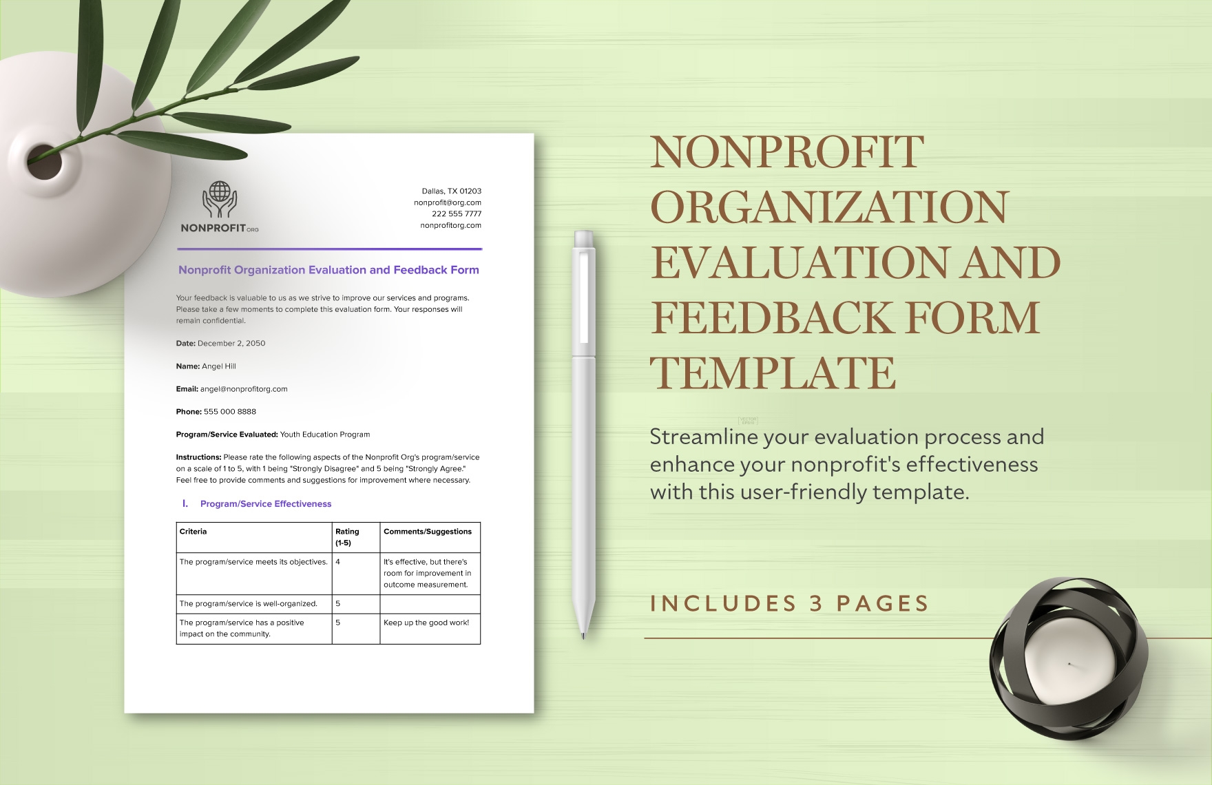 Nonprofit CEO Evaluation Template In Word PDF Google Docs Download Template