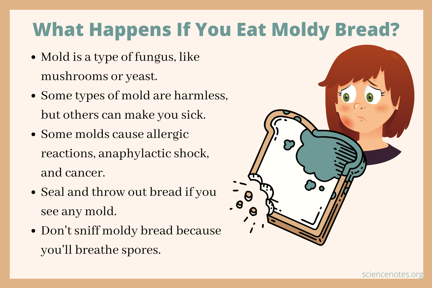 What Happens If You Eat Moldy Bread 